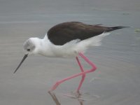 IMG_57433.JPG