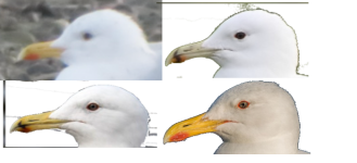 caspian_comparison.png