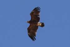 IMG_6660.JPG