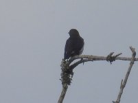 DSCN1059.JPG