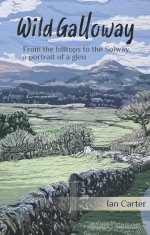 At last - a naturalist with a kind word for Sitka spruce