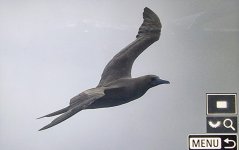 20250329_173413(0)~3.jpg