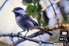 20250412_182233(0)~3.jpg