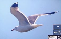 20250414_143550(0)~3.jpg