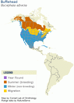 buce_albe_AllAm_map.gif