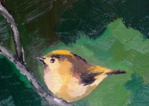 goldcrests.JPG