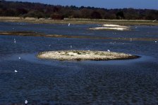 RSPB Minsmere (R).jpg