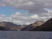 1 Loch Shiel - eagles.jpg