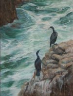 final cormorants at bodega oilsm .jpg