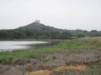 South Bay facing Bridal Path in Trees..JPG