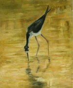 stilt in golden water oil sm.jpg