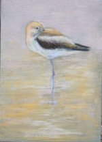 American avocet 5x7 pastel.jpg