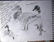 brants goose pencil 4859.jpg