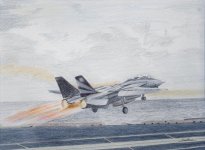 tomcat_800.jpg