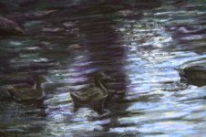 twilight mallards detail  9609.jpg