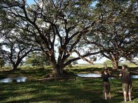 Alice photographing fruit bats at Tissa tank.jpg