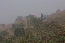 09 Horton Plains -cold,wet & misty.jpg