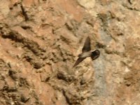 L1300719_Crag Martin.jpg