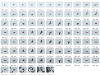 contact_sheet_25-107.jpg