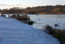 Whitlingham Broad (R).jpg