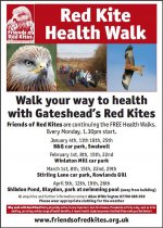 Health-Walks-poster-med_web.jpg