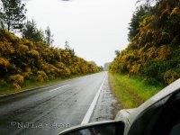 Road-near-Lake-Colbun.jpg