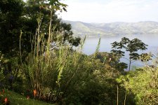 Ceiba_Lake_View.jpg