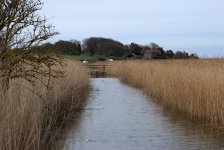 Cley Marshes 1 (R).jpg