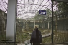 Chengdu  Zoo.jpg