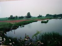 F view from old E hide looking SW.jpg