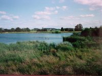 G looking from concrete hide SE to Br after banks taken down.jpg