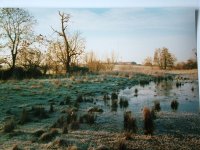 seasonal pool pre 1993.jpg