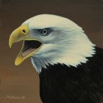 Eagle Study4x4.JPG