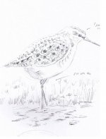 Wood Sand.jpg