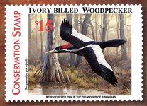 ivory-billed-stampweb-2.jpg