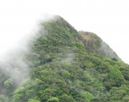 Cerro Cariguana.jpg