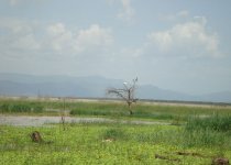 Baringo-I.jpg