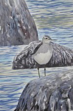 Wood Sandpiper Watercolour.jpg