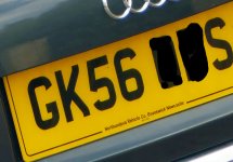 Reg Plate 100.jpg