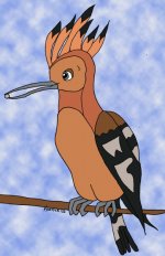 Hoopoe.jpg