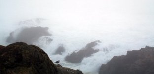 2 bodega head surf and fog 1_3094.jpg