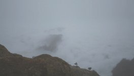 3bodega head surf and fog 2_3098.jpg