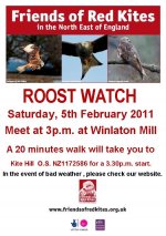 Roost watch 5 Feb 2011poster.jpg
