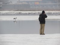 Jinzhou Bay winter 3.jpg