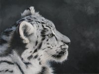 snow leopard cub oil painting 002 (Small).JPG