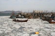 2011-02-09 Fishing harbour at Jinshitan.jpg