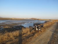 Sea-farming Ponds Mud flats.JPG