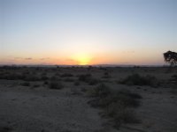 Sunset in the deserrt.jpg