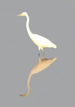 Great Egret ImpressionUL.jpg