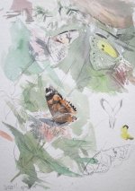 painted lady and clouded yellow.JPG